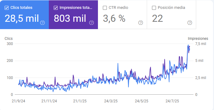 consultor seo para empresas que quieren mejorar su posicionamiento web